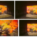 秋のプロジェクト ～VATを用いたアニメーションのテスト～